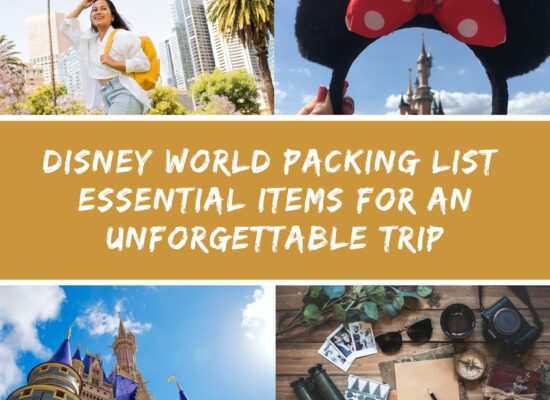 Disney World Packing List